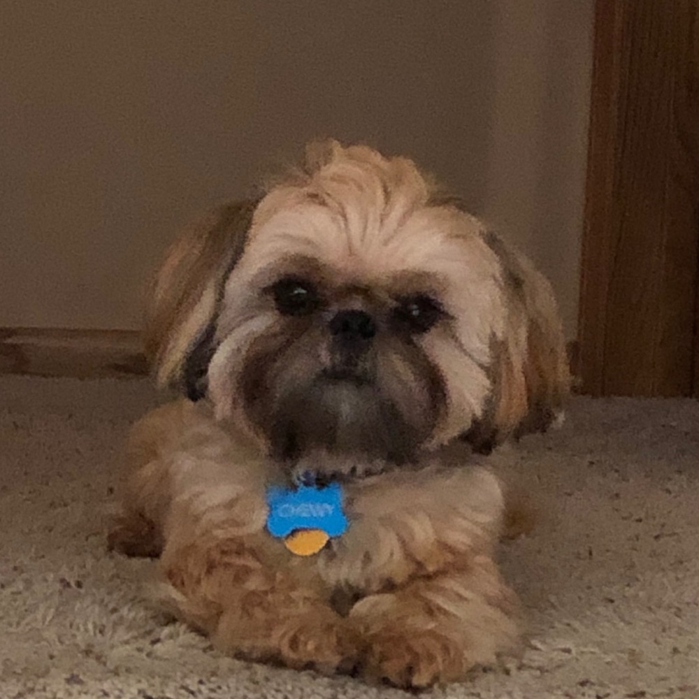 Meet your Posher, Mindi